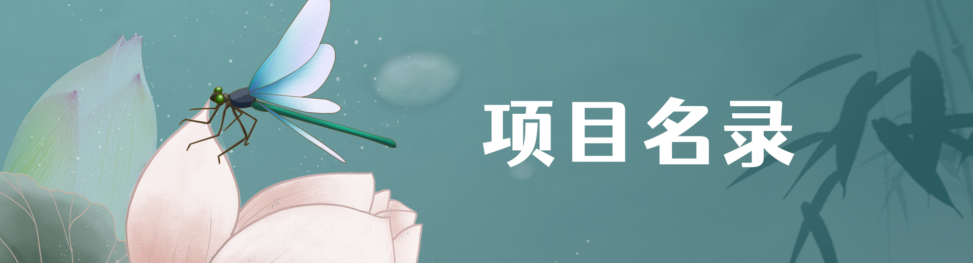 项目名录
